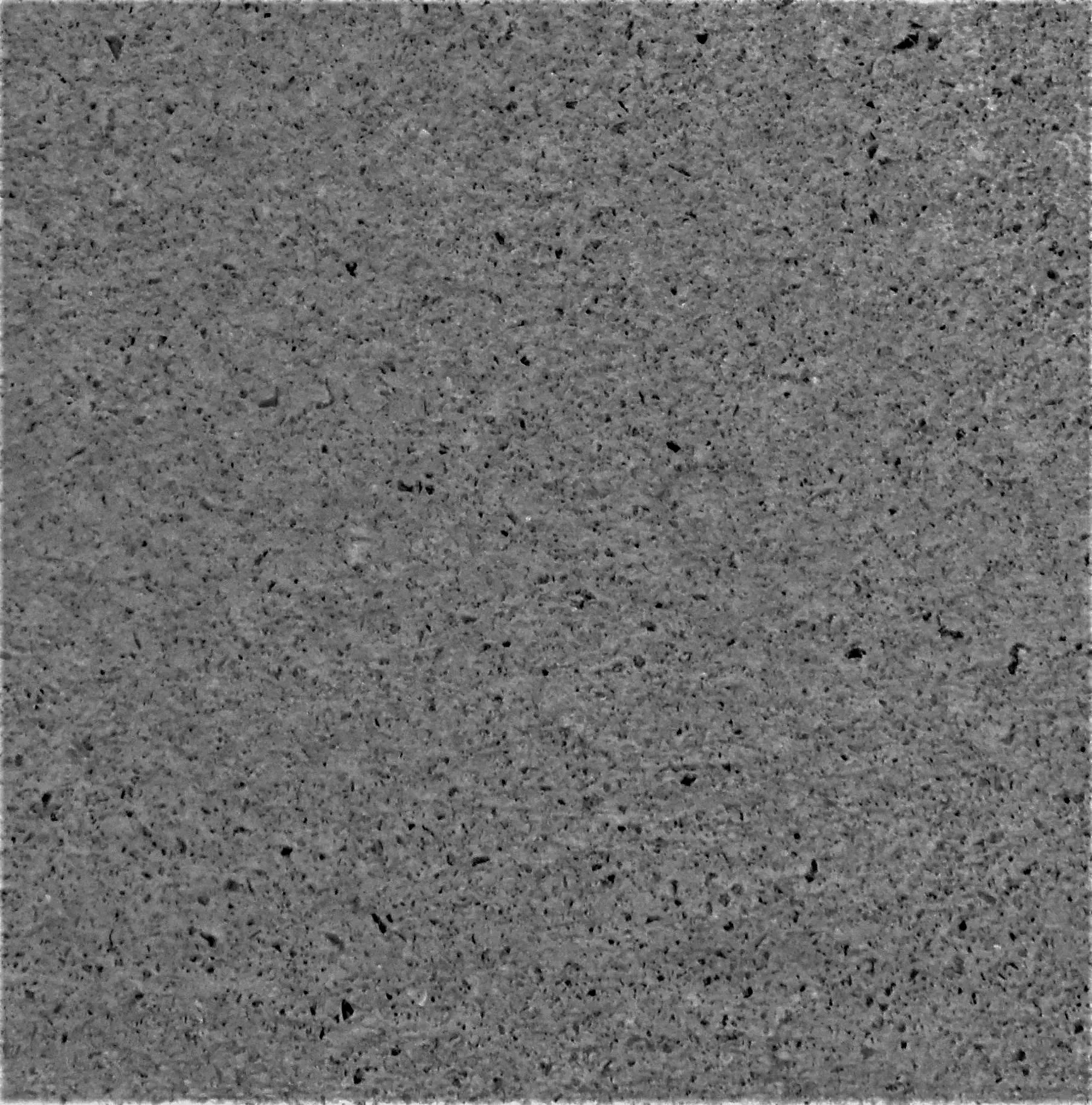 ペールブラック