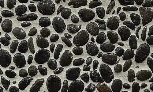bwa_577