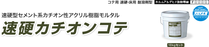 速硬カチオンコテ