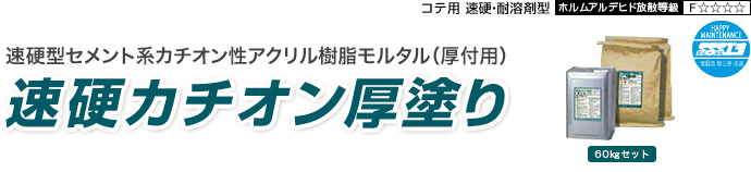 速硬カチオン厚塗り