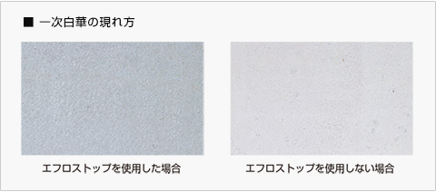 一次白華の現れ方